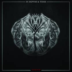 In Depths And Tides : Shroud